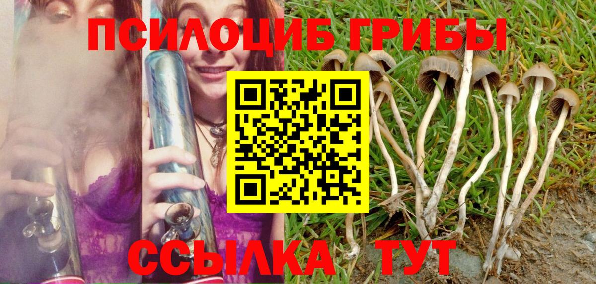 Псилоцибиновые грибы MAGIC MUSHROOMS  Вход с VPN  Удомля  Псилоцибиновые грибы Psilocybine cubensis 